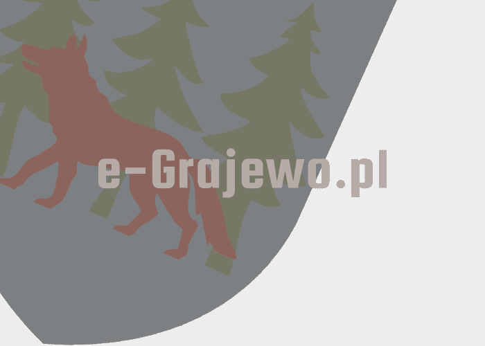 Grajewo ogłoszenia: Sprzedam mało używane opony zimowe rozmiar 195/68/R15